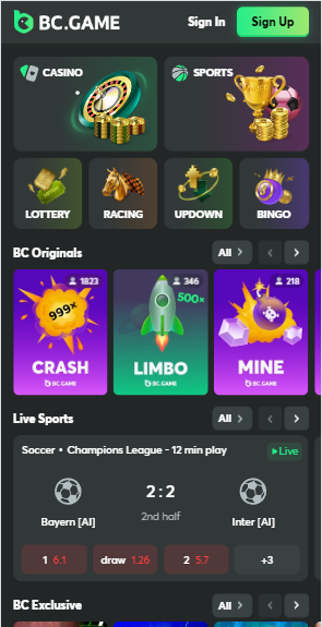Understanding BC Game Withdrawal Methods A Comprehensive Guide Understanding BC Game Withdrawal Methods A Comprehensive Guide