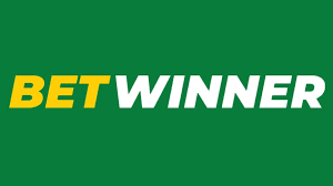 Discover the World of Bedwinner Your Ultimate Betting Partner